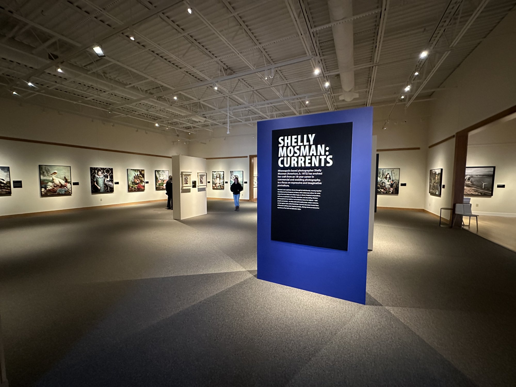 Installation view of Shelly Mosman: Currents at the Minnesota Marine Art Museum